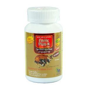Ferric Plus K (40 เม็ด)