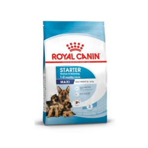 ROYAL CANIN MAXI STARTER แม่และลูกสุนัขพันธุ์ใหญ่ 1kg