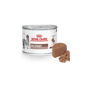 Royal Canin  RECOVERY 195 gm. สุนัข-แมวที่อยู่ระยะพักฟื้น